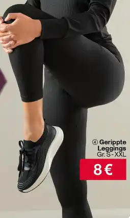 Woolworth Gerippte Leggings Angebot