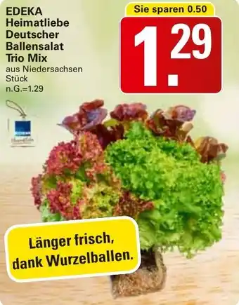 WEZ EDEKA Heimatliebe Deutscher Ballensalat Trio Mix Angebot