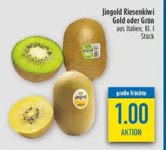 diska Jingold Riesenkiwi Gold oder Grün Angebot