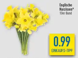 diska Englische Narzissen 10er Bund Angebot