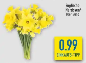 diska Englische Narzissen 10er Bund Angebot