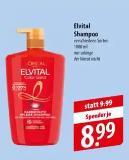 Famila Nord Ost Elvital Shampoo Angebot