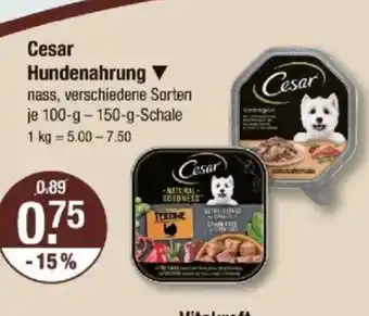 V Markt Cesar Hundenahrung Angebot