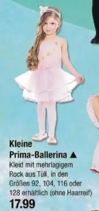 V Markt Kleine Prima-Ballerina Angebot