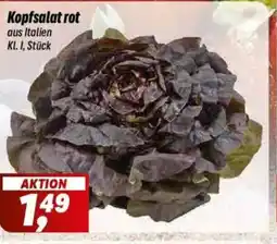 Simmel Kopfsalat rot Angebot