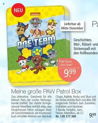 Weltbild Meine Große Paw Patrol Box Angebot