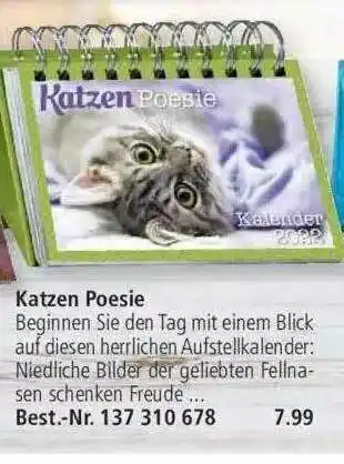 Weltbild Katzen Poesie Angebot