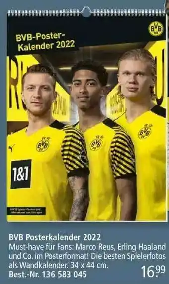 Weltbild Bvb Posterkalender 2022 Angebot