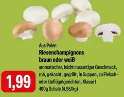 Feneberg Riesenchampignons braun oder weiß Angebot