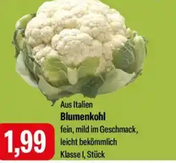 Feneberg Aus Italien Blumenkohl Angebot