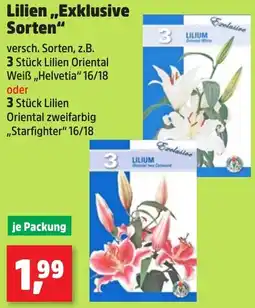 Thomas Philipps Lilien ,,Exklusive Sorten" Angebot