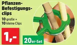 Thomas Philipps Pflanzen Befestigungsclips Angebot