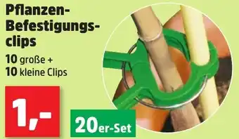 Thomas Philipps Pflanzen Befestigungsclips Angebot