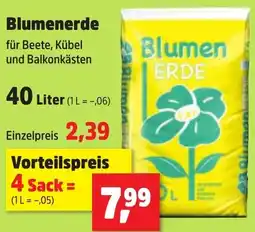 Thomas Philipps Blumenerde Angebot