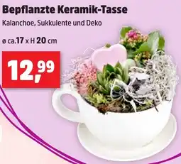 Thomas Philipps Bepflanzte Keramik-Tasse Angebot