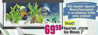 Hornbach Aquarium „starter Line Minions 2” Tetra Angebot