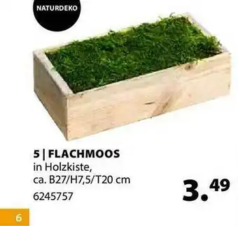 Dehner Flachmoos Angebot