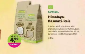 Denns BioMarkt Rapunzel Himalaya Basmati-reis Angebot