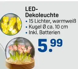 Rossmann Ideenwelt led-dekoleuchte Angebot