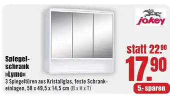 B1 Discount Baumarkt jokey Spiegel- schrank >>Lymo<< Angebot