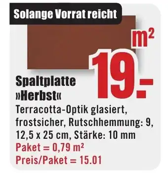 B1 Discount Baumarkt Spaltplatte >>Herbst<< Angebot