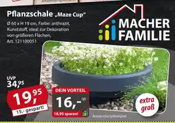 Sonderpreis Baumarkt Pflanzschale ,,Maze Cup" Angebot