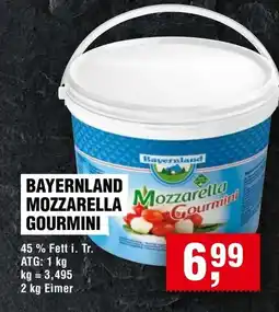 Handelshof Bayernland Mozzarella Gourmini Angebot