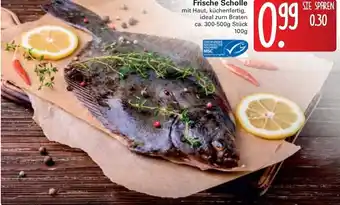 WEZ Frische Scholle Angebot