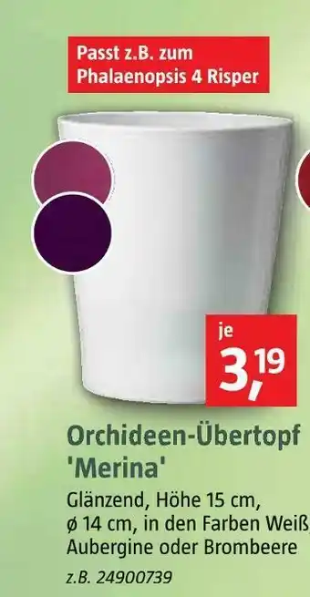 Bauhaus Orchideen übertopf 'merina' Angebot