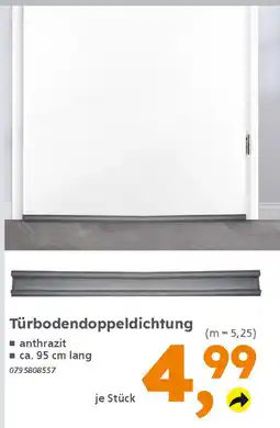 Globus Baumarkt Türbodendoppeldichtung Angebot