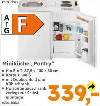 Globus Baumarkt Miniküche,,Pantry" Angebot