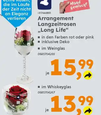 Globus Baumarkt LEONARDO Arrangement Langzeitrosen „Long Life" Angebot