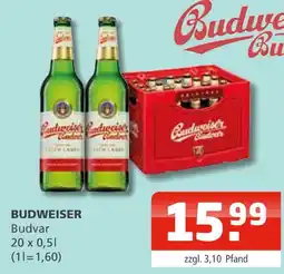 Getränke Oase Budweiser budvar Angebot