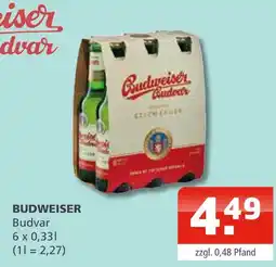 Getränke Oase Budweiser budvar Angebot