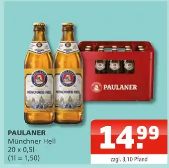 Getränke Oase Paulaner münchner hell Angebot