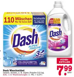 E-Center Dash alpen frische oder color frische Angebot