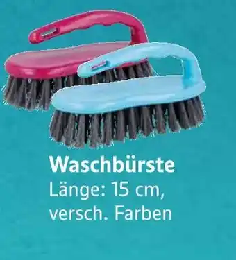 E-Center Waschbürste Angebot
