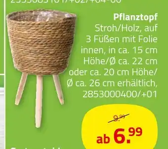 ROLLER Pflanztopf Angebot