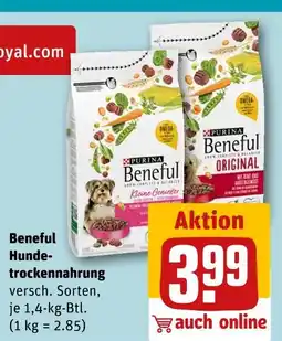 REWE Purina beneful hundetrockennahrung Angebot