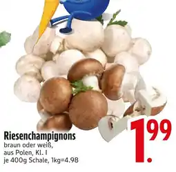 Edeka Riesenchampignons Angebot