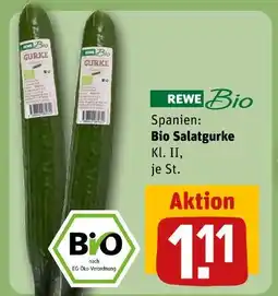 REWE Rewe bio bio salatgurke Angebot