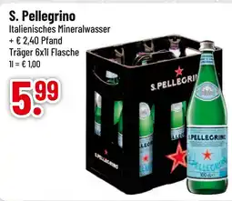 trinkgut S. pellegrino s. pellegrino Angebot