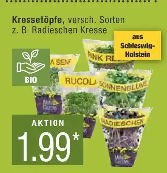 Marktkauf Bio kressetöpfe, z. b. radieschen kresse Angebot