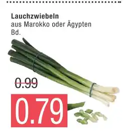 Marktkauf Lauchzwiebeln Angebot