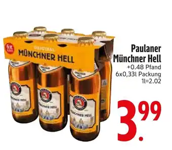 Edeka Paulaner münchner hell Angebot