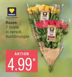 Marktkauf Edeka rosen Angebot