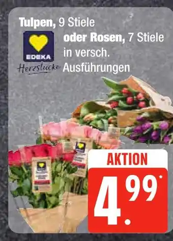 Edeka Edeka herzstücke tulpen oder rosen Angebot