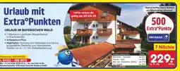 Netto Marken-Discount Payback urlaub im bayerischen wald Angebot