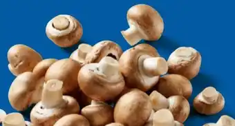 Lidl Bio Kulturchampignons Angebot