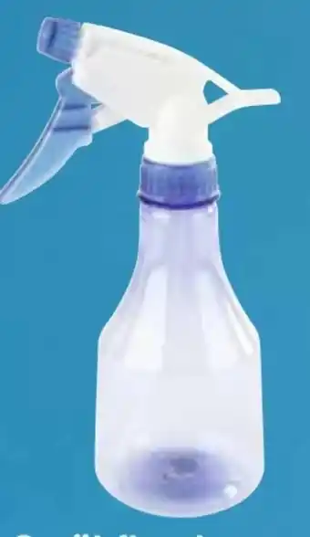 Scheck-in-Center Sprühflasche Angebot